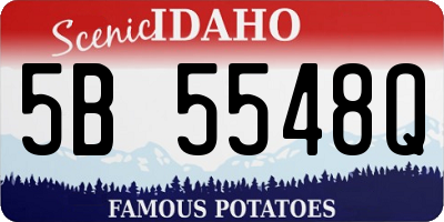ID license plate 5B5548Q