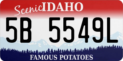 ID license plate 5B5549L