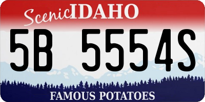 ID license plate 5B5554S