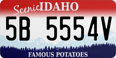 ID license plate 5B5554V