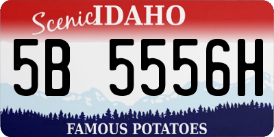 ID license plate 5B5556H