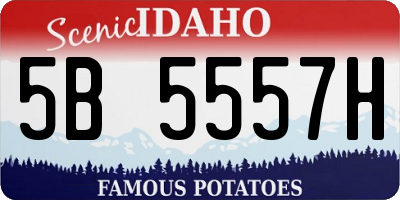 ID license plate 5B5557H