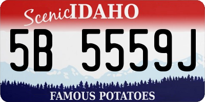 ID license plate 5B5559J