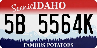 ID license plate 5B5564K
