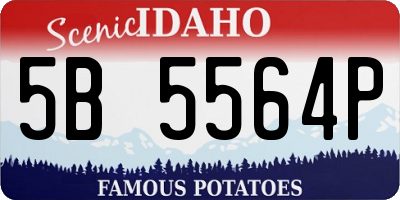 ID license plate 5B5564P