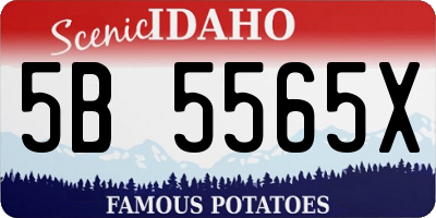 ID license plate 5B5565X