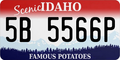 ID license plate 5B5566P