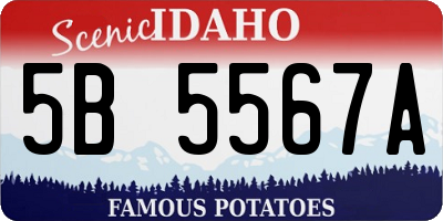 ID license plate 5B5567A