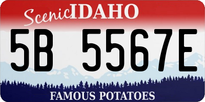 ID license plate 5B5567E