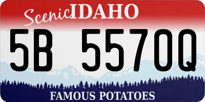 ID license plate 5B5570Q