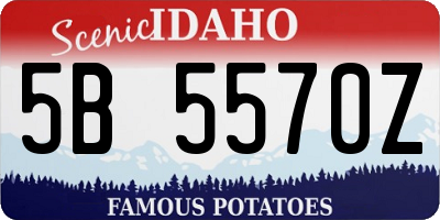 ID license plate 5B5570Z