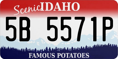 ID license plate 5B5571P