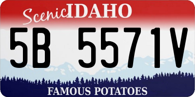 ID license plate 5B5571V