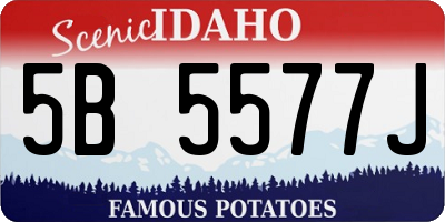 ID license plate 5B5577J