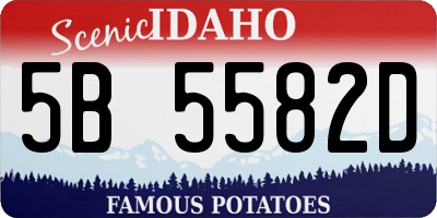 ID license plate 5B5582D