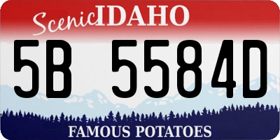 ID license plate 5B5584D