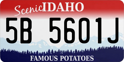 ID license plate 5B5601J