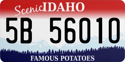 ID license plate 5B5601O