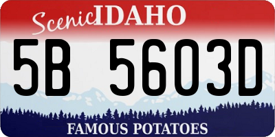 ID license plate 5B5603D