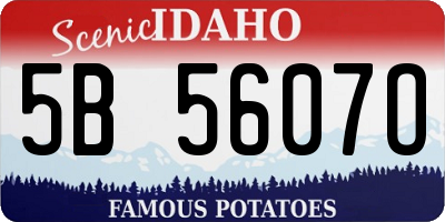 ID license plate 5B5607O