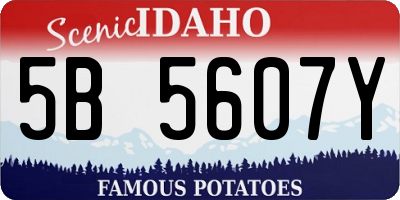 ID license plate 5B5607Y