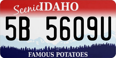 ID license plate 5B5609U