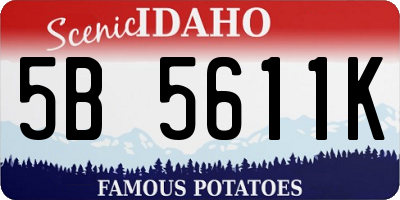 ID license plate 5B5611K