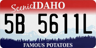 ID license plate 5B5611L