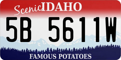 ID license plate 5B5611W