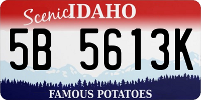 ID license plate 5B5613K