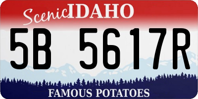 ID license plate 5B5617R
