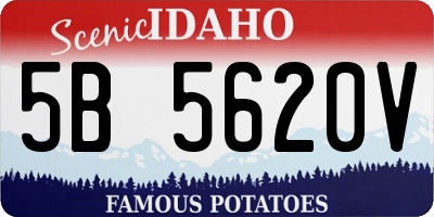 ID license plate 5B5620V