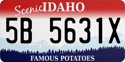 ID license plate 5B5631X