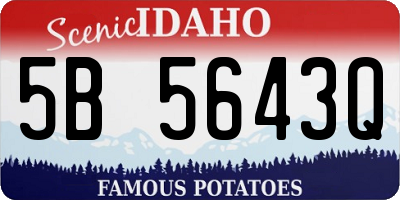 ID license plate 5B5643Q