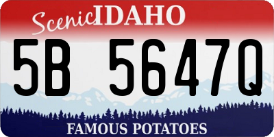 ID license plate 5B5647Q