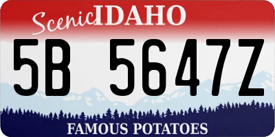ID license plate 5B5647Z