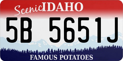 ID license plate 5B5651J