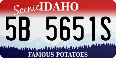 ID license plate 5B5651S