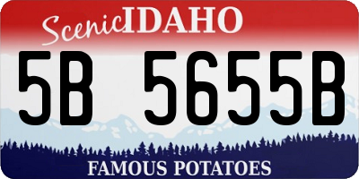 ID license plate 5B5655B