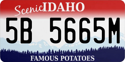ID license plate 5B5665M