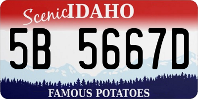 ID license plate 5B5667D
