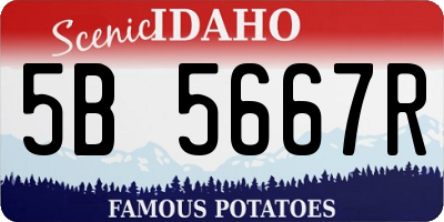 ID license plate 5B5667R