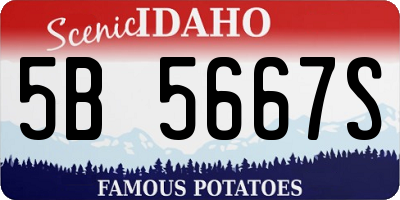 ID license plate 5B5667S