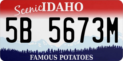 ID license plate 5B5673M