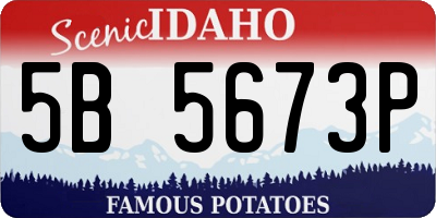 ID license plate 5B5673P