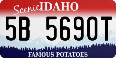 ID license plate 5B5690T