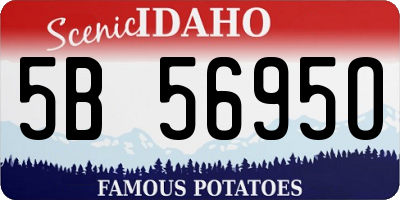 ID license plate 5B5695O