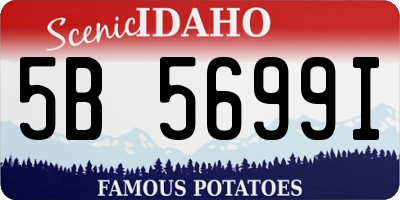 ID license plate 5B5699I
