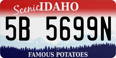 ID license plate 5B5699N