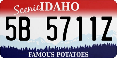 ID license plate 5B5711Z